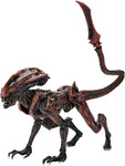 Prowler Alien Figura De Acción Aliens Fireteam Elite Neca 23 Cm