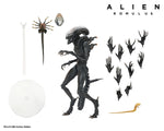 Alien Romulus Scorched Xenomorph Figura De Acción Neca Special 30 Cm