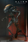 Alien Romulus Scorched Xenomorph Figura De Acción Neca Special 30 Cm