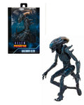 Arachnoid Alien Figura De Acción Alien Vs Predator Neca 22 Cm