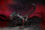 Night Alien Xenomorfo Cougar Figura De Acción Aliens Neca Ultimate 18 Cm