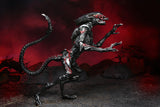 Night Alien Xenomorfo Cougar Figura De Acción Aliens Neca Ultimate 18 Cm